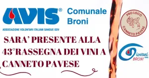 43ma rassegna dei vini a Canneto Pavese - Immagine: 1