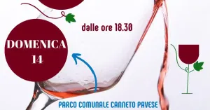 43ma rassegna dei vini a Canneto Pavese - Immagine: 3