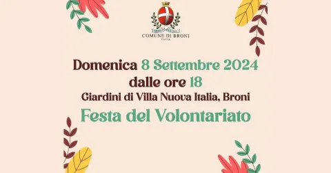 Festa del Volontariato