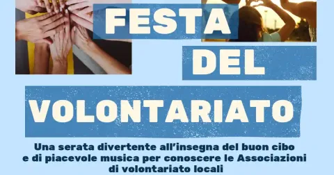 Festa del volontariato - Broni 2025